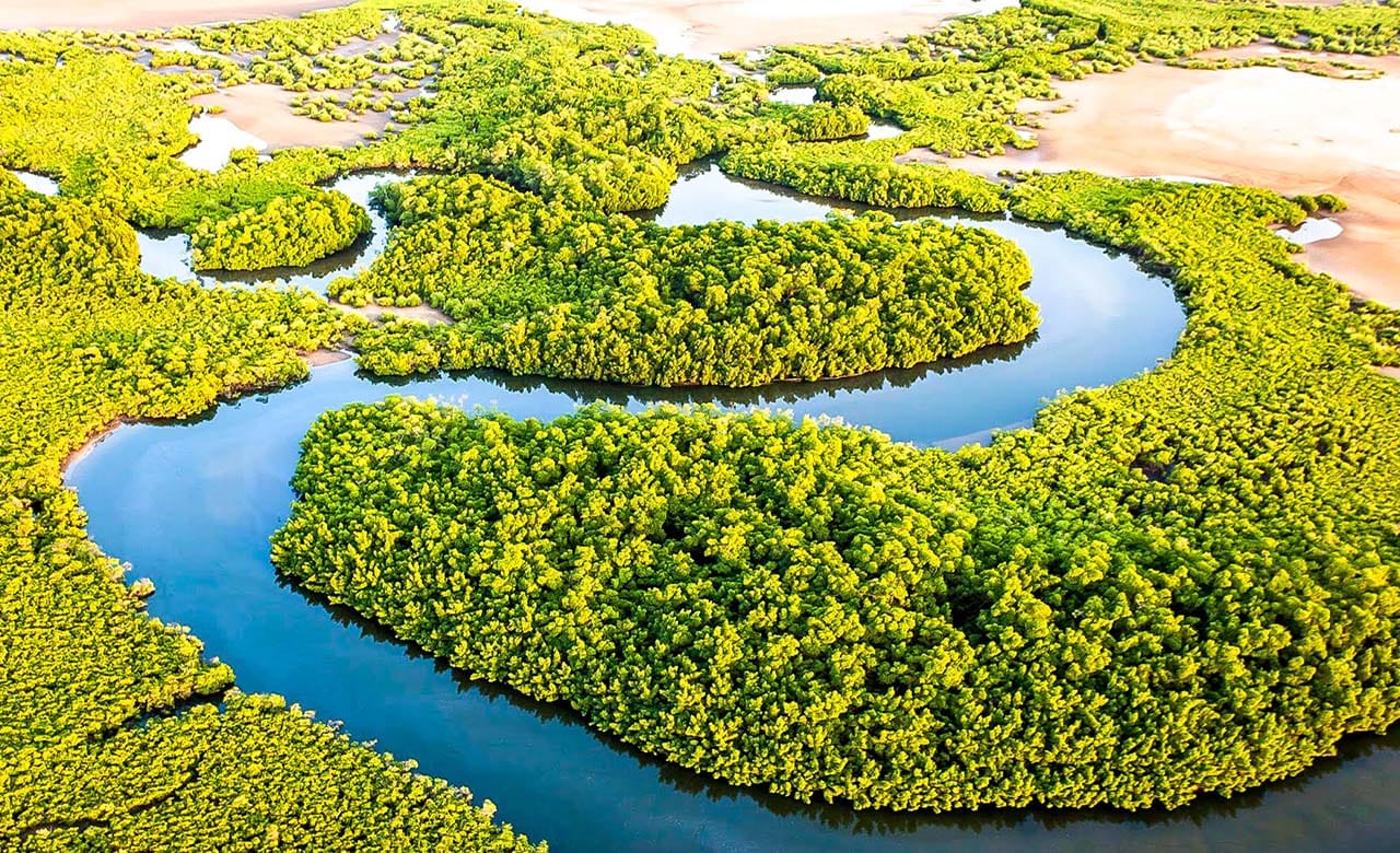 Saloum